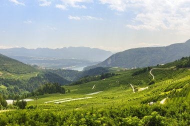 Val di Non (Trento)