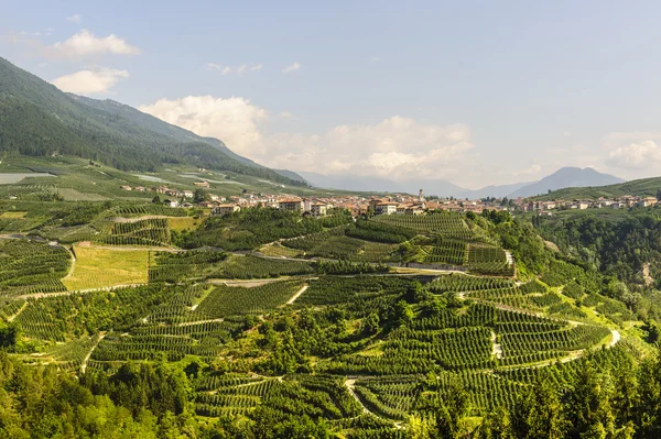 Val di Non (Trento) — Stockfoto
