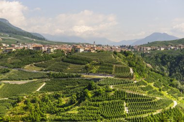 Val di Non (Trento)