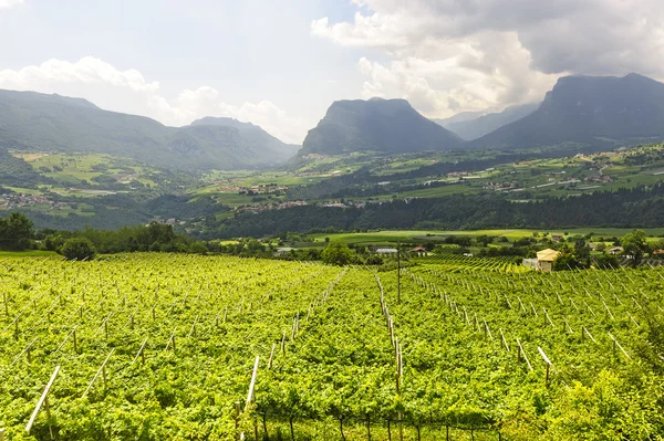 stock image Panoramic view from Stenico (Trento)