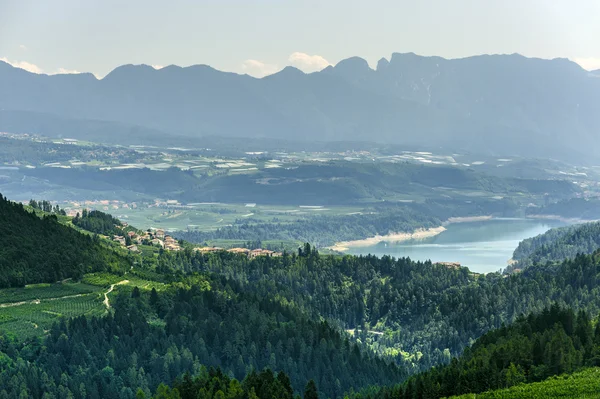 stock image Val di Non (Trento)