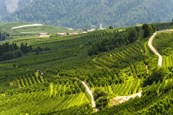 stock image Val di Non (Trento)