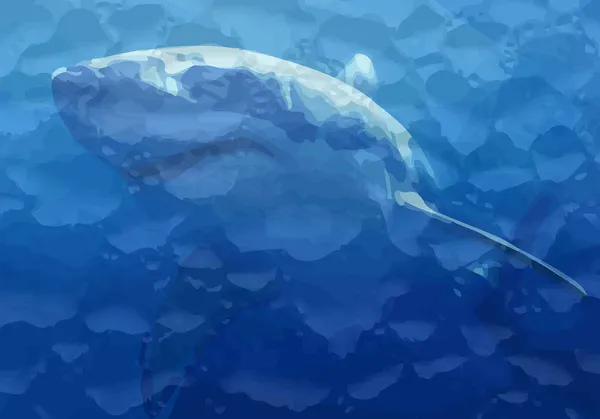 Акула в морі — стоковий вектор