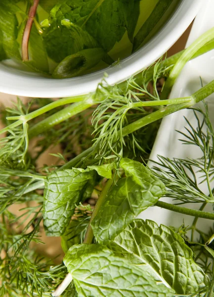 Herbs close-up — Stock Photo, Image