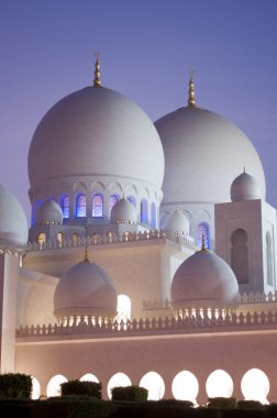 Domes of grand mosque in Abu Dhabi clipart