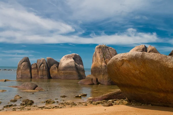 stock image Sandy beach