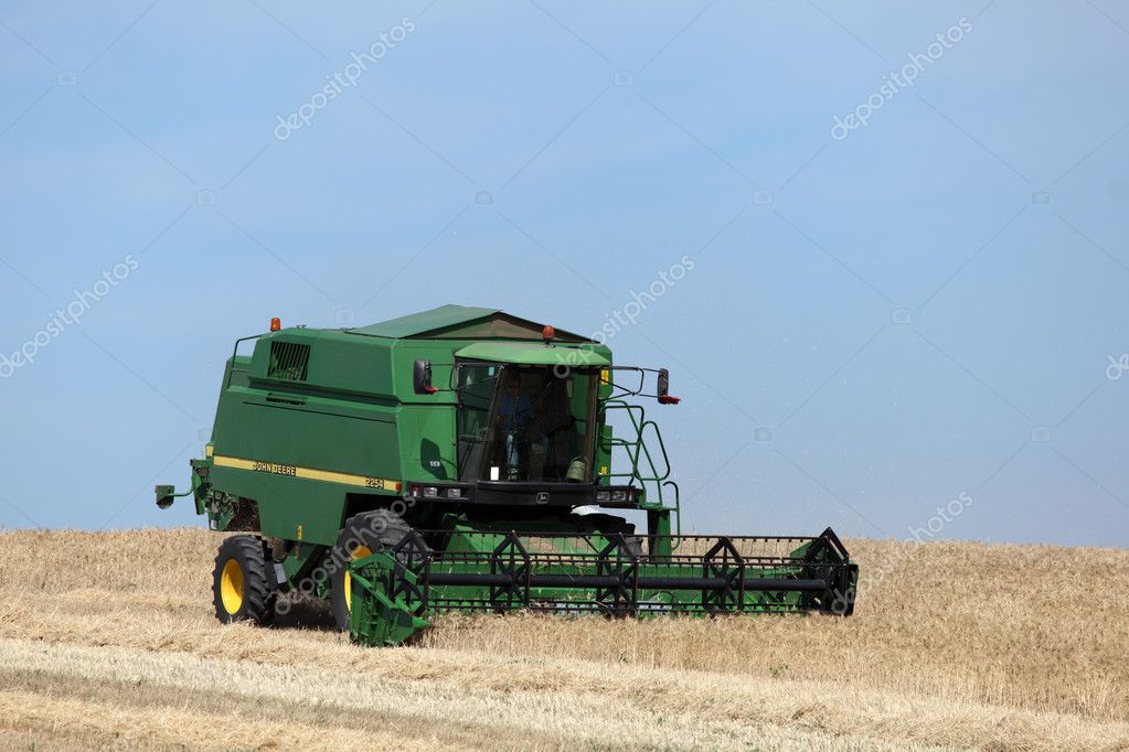Machine harvesting the corn field Stock Editorial Photo © philipus