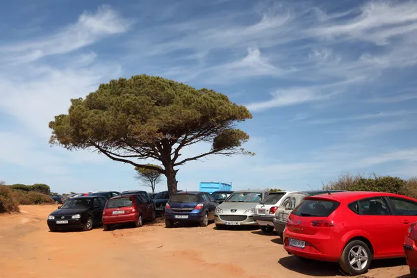 Samochodów parking przy plaży cala del aceite w conil de la frontera, Andaluzja, Hiszpania — Zdjęcie stockowe