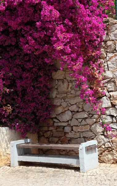 Panca con bouganvillea rosa a Lagos, Algarve Portogallo — Foto Stock