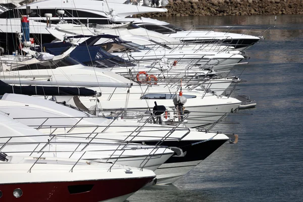 Luxury yachts in the marina — Stock Photo, Image