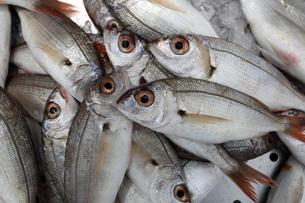 Close-up van verse vis op de markt — Stockfoto
