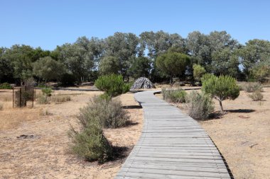 Wooden walkway in the Doñana National Park, Andalusia Spain clipart