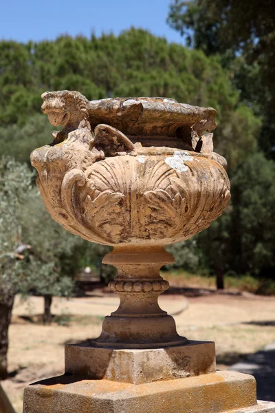 Ancient vase at the Palace of Acebron, Donana National Park, Andalusia Spain — Stock Photo, Image