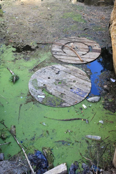 Contaminación del medio ambiente - basura en un pequeño lago — Foto de Stock