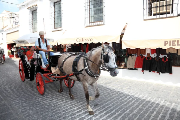 安达卢西亚西班牙塞维利亚普韦布洛驱动马车的马 — 图库照片