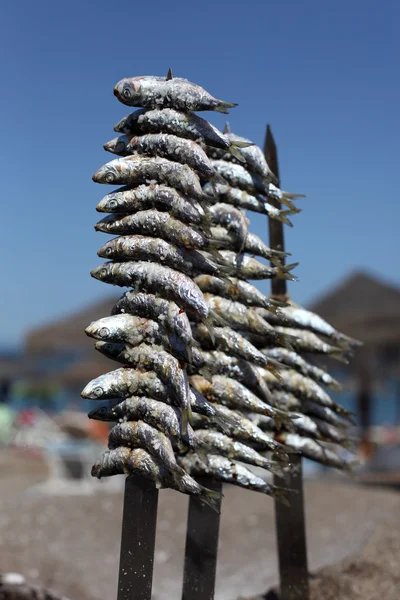 Sardinhas preparadas para a grelha. Fuengirola, Costa del Sol, Andaluzia Espanha — Fotografia de Stock