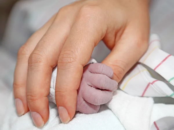 Newborn baby holds mothers hand — Stock Photo, Image