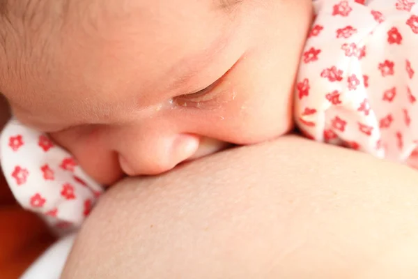 Мать кормит грудью новорожденную девочку — стоковое фото