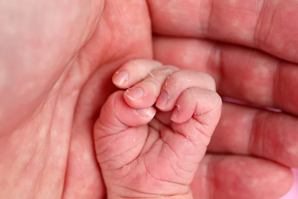 Lilla bebis hand i fäder palm — Stockfoto