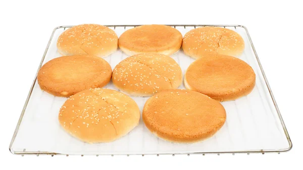 Burger buns on baking tray — Stock Photo, Image