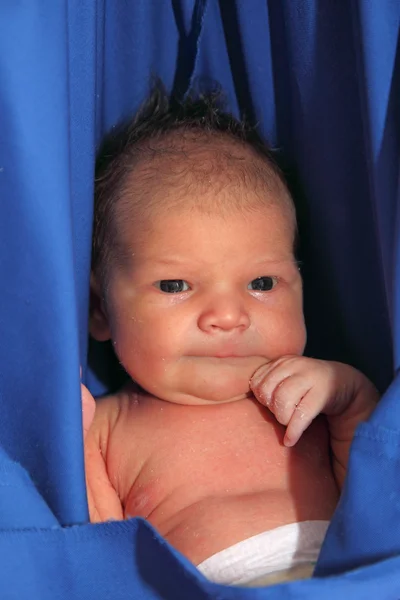 Dos semanas de edad linda niña en hamaca azul — Foto de Stock