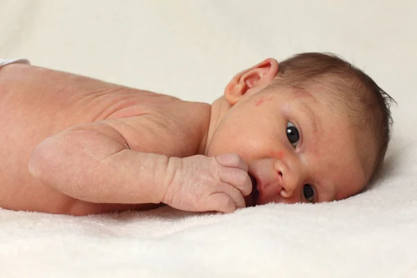Portrait of a newborn baby girl on white blanket — Stock Photo, Image