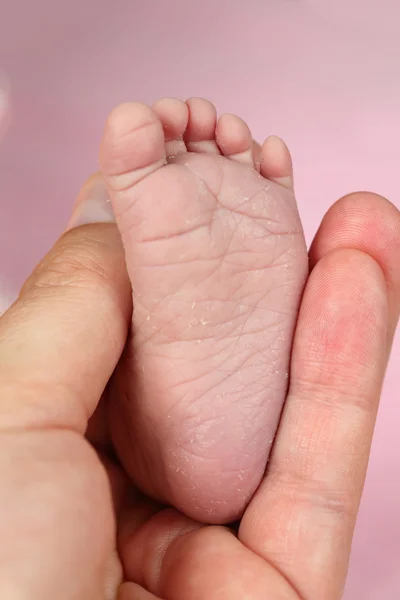 Lilla foten av en nyfödd baby — Stockfoto
