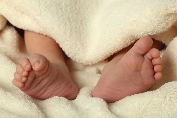 Små fötter av ett nyfött barn — Stockfoto