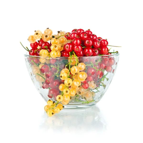 Red and yellow fresh berry currant in glass bowl isolated on whi — Stock Photo, Image