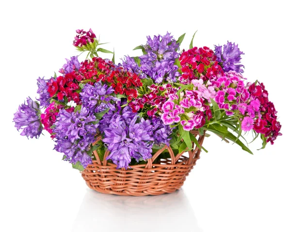 Beautiful bouquet of flowers in basket, isolated on white — Stock Photo, Image