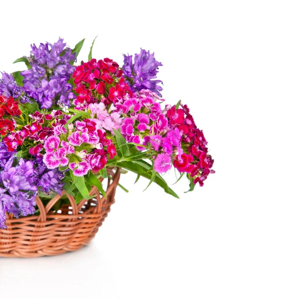 Beautiful bouquet of pink flowers in basket isolated on white b — Stock Photo, Image