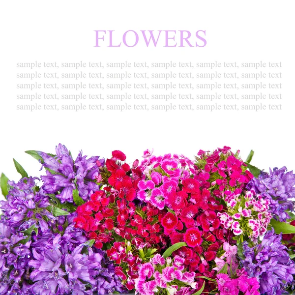 Fondo de flores —  Fotos de Stock