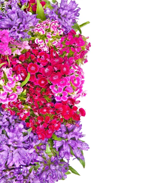 Muchas flores hermosas fondo — Foto de Stock
