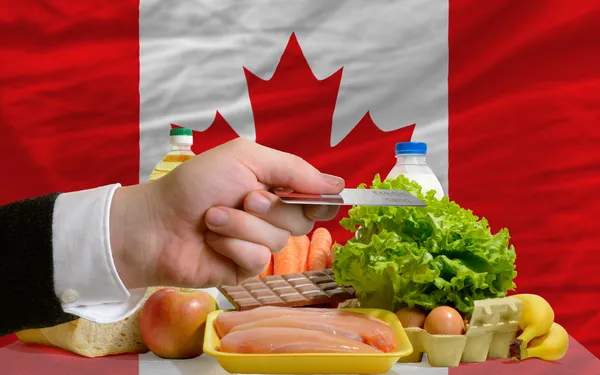 Покупка продуктов по кредитной карте в Канаде — стоковое фото