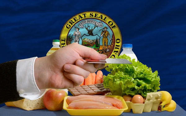 Nákup potravin s kreditní kartou v USA státu idaho — Stock fotografie