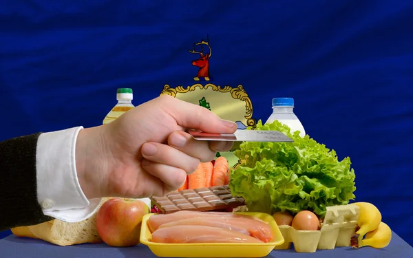 국가의 버몬트 미국에서 신용 카드와 식료품을 사는 — 스톡 사진