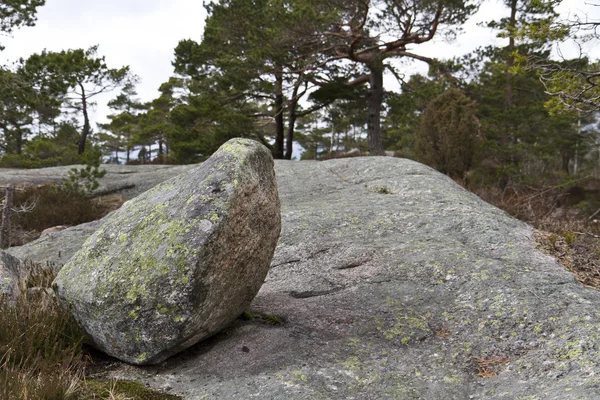 바위에 돌 — 스톡 사진