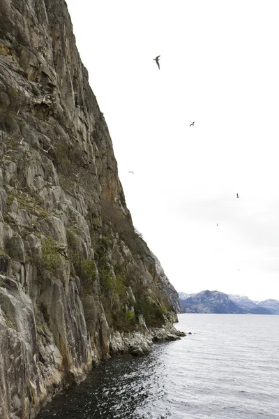Απόκρημνο βράχο στην ακτή στη Νορβηγία — Φωτογραφία Αρχείου