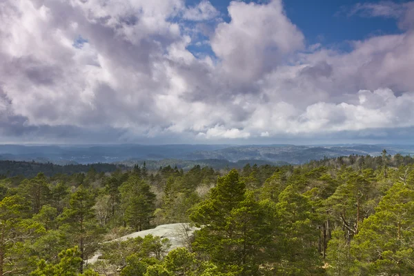 Stock image View over forest with cloudy sky