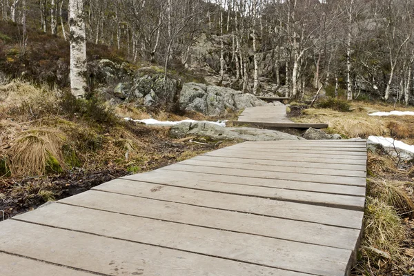 Stopa drewniana ścieżka w wiejski krajobraz — Zdjęcie stockowe