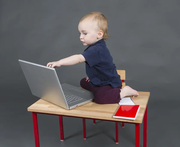 Baby met laptopcomputer in grijze achtergrond — Stockfoto
