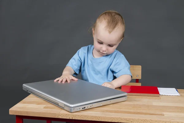 Barnet med bärbar dator i grå bakgrund — Stockfoto