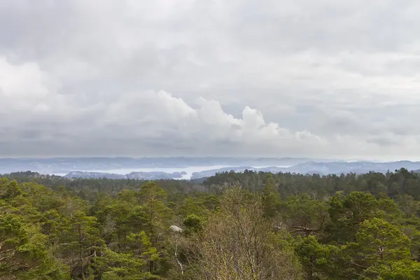 stock image View over forest with cloudy sky