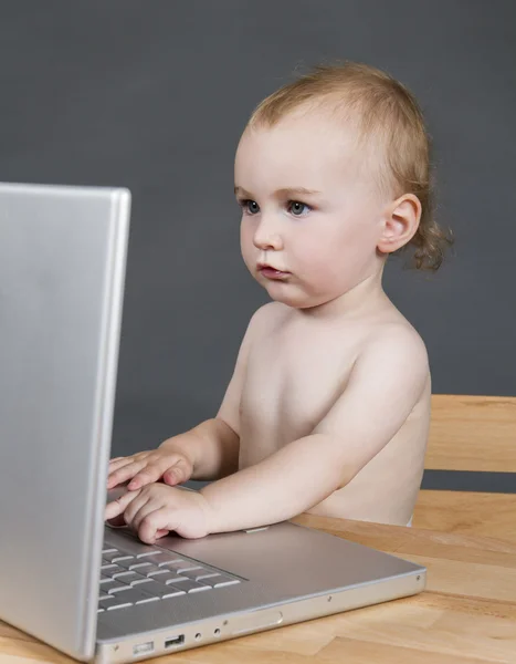 Baby met laptopcomputer in grijze achtergrond — Stockfoto