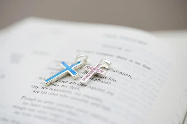 A pair of crosses on the bible — Stock Photo, Image