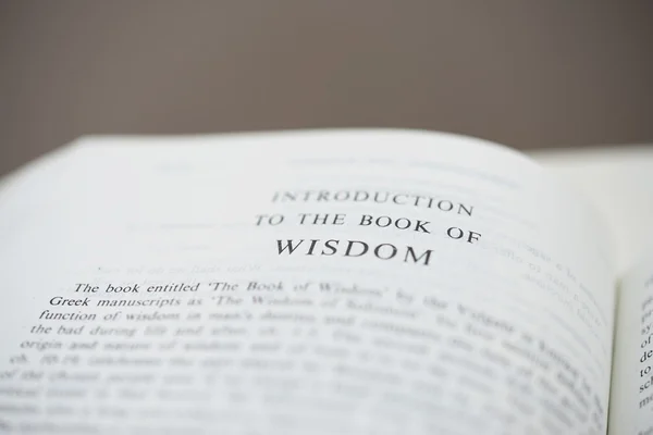 Libro della saggezza — Foto Stock