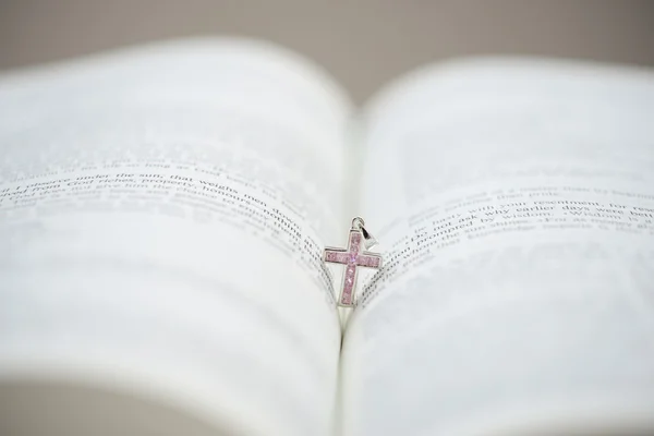Bibel und das rosa Kruzifix — Stockfoto