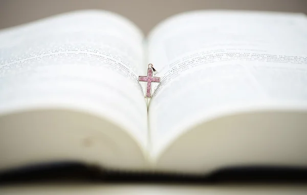 Bijbel en de roze cruxific in de rug — Stockfoto