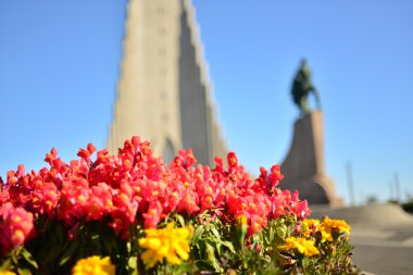 Blurred background of The Hallgrímskirkja