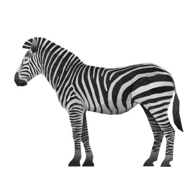 Papercut zebra geri dönüşümlü kağıt